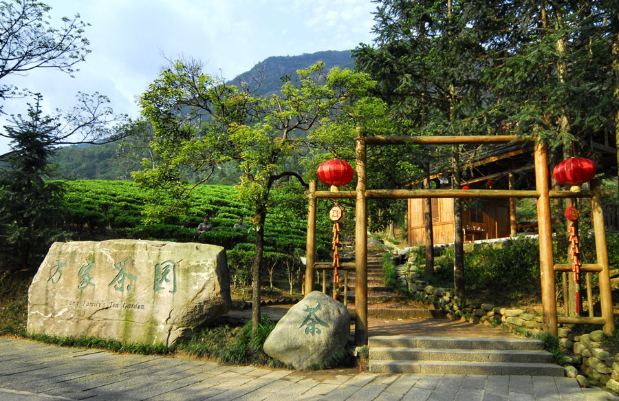 Kawasan Pemandangan Taman Teh Keluarga Fang
